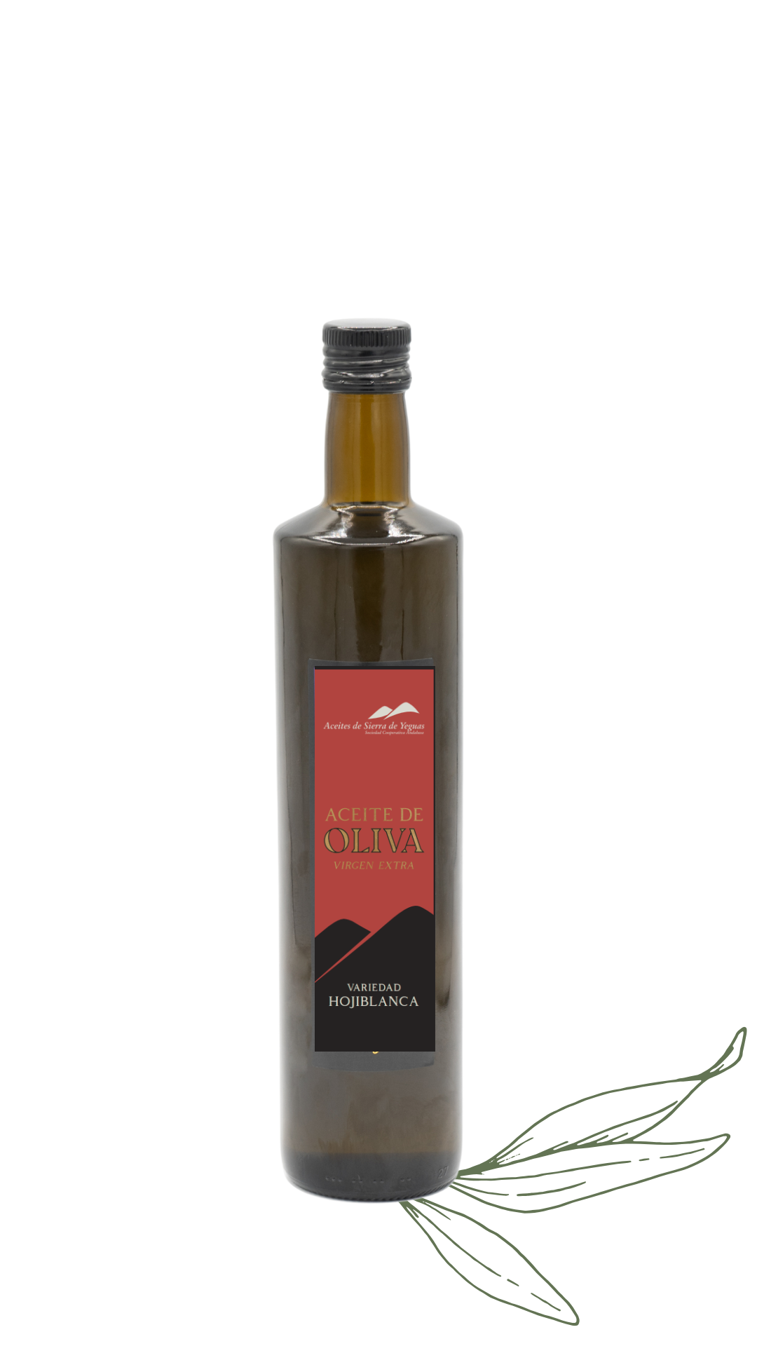 ACEITE DE OLIVA VIRGEN EXTRA FILTRADO | COSECHA 2024-2025 | 750ML CRISTAL