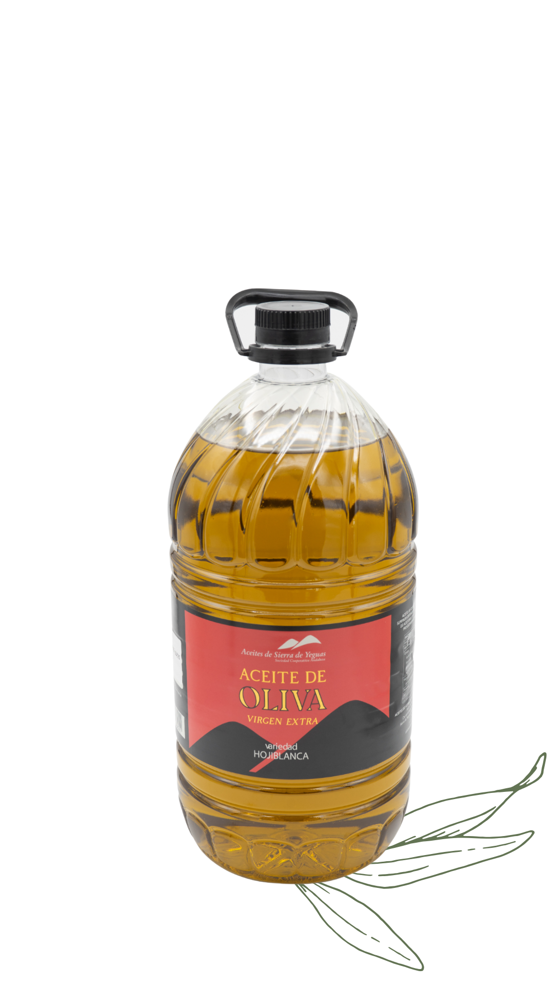 ACEITE DE OLIVA VIRGEN EXTRA HOJIBLANCA FILTRADO | COSECHA 2024-2025 | 5 LITROS PET