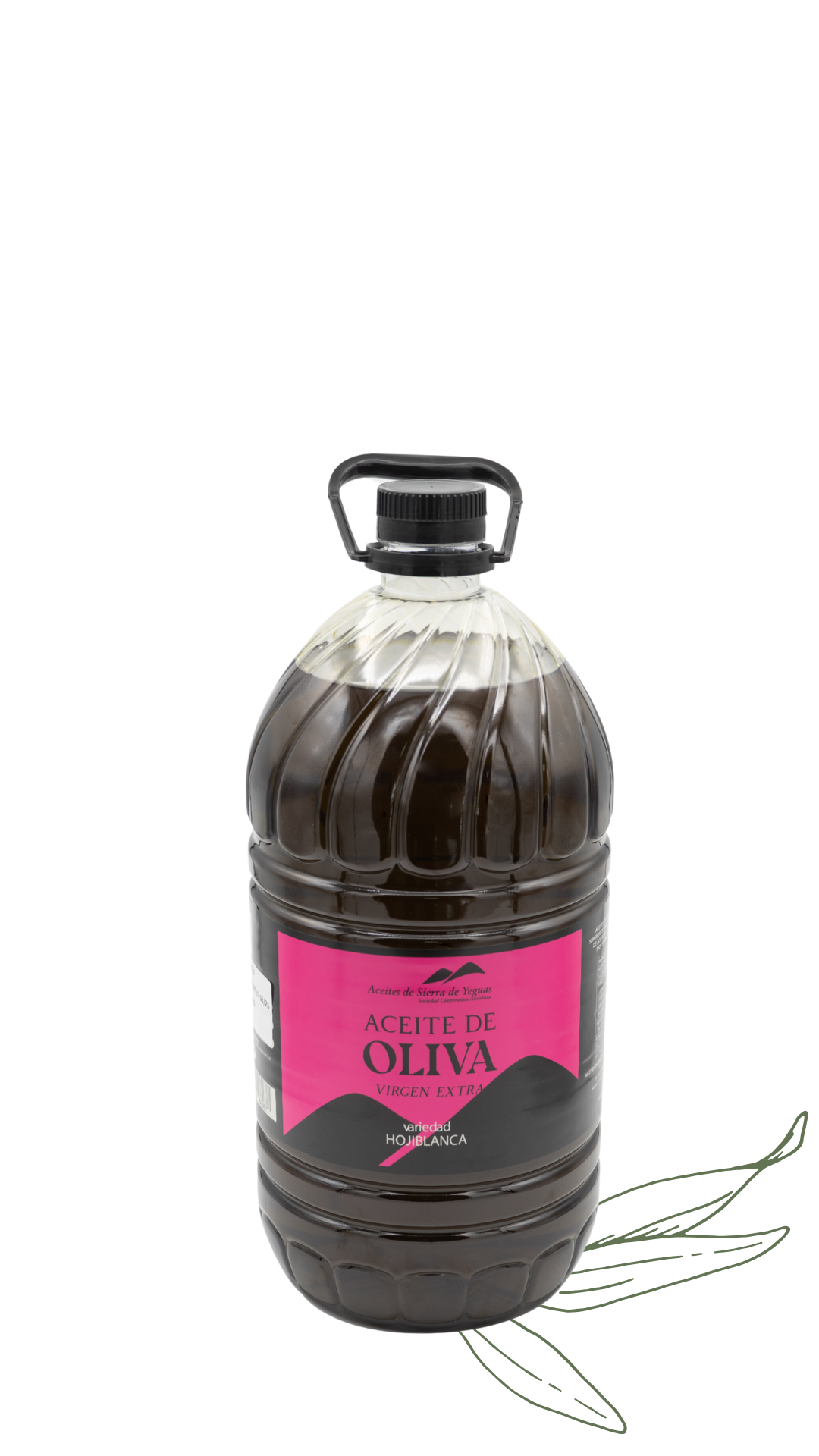 ACEITE DE OLIVA VIRGEN EXTRA HOJIBLANCA SIN FILTRAR | COSECHA 2024-2025 | 5LITROS PET